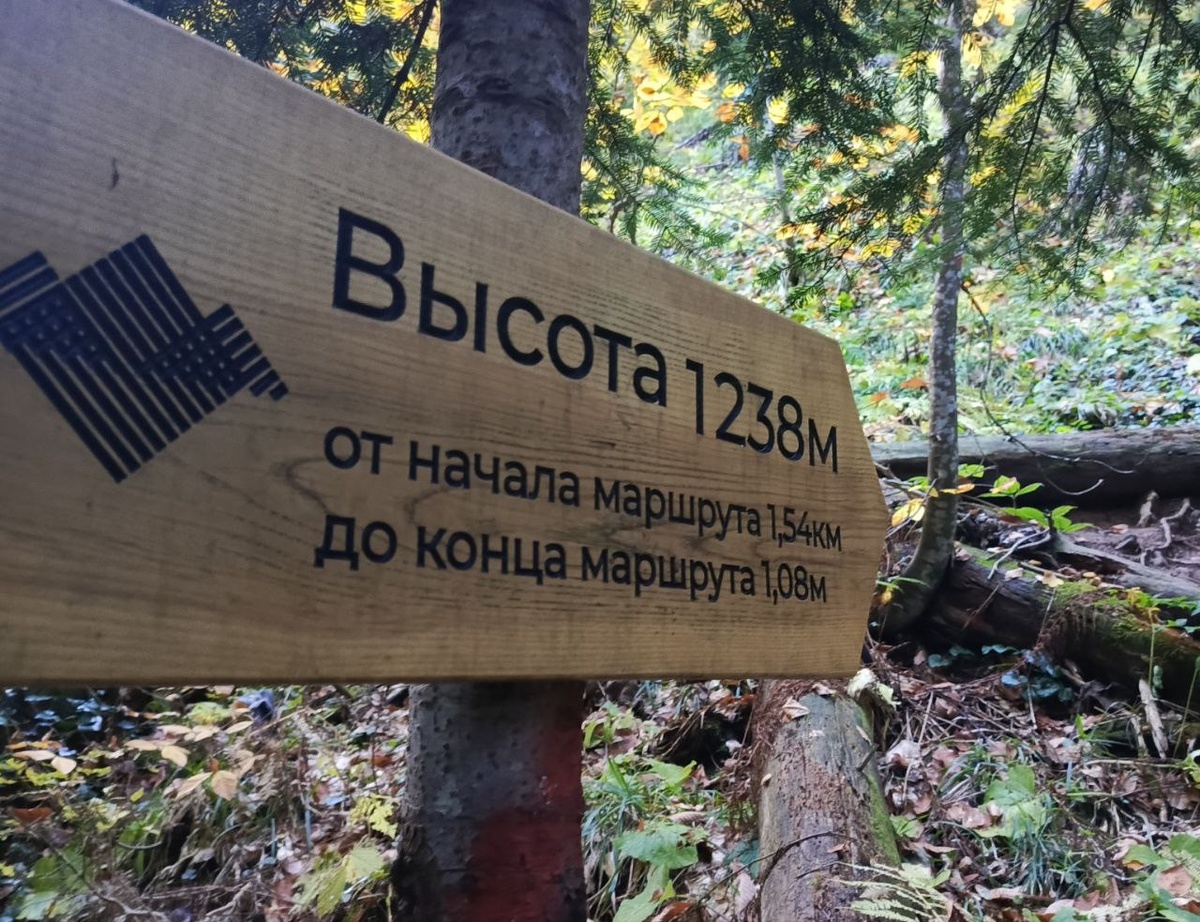 Середина трекинга на Малую Рицу. 2024. Это и другие фото в статье из личного архива Анжелики Стражковой. Обязательно разрешение на использование или активная ссылка на статью. 