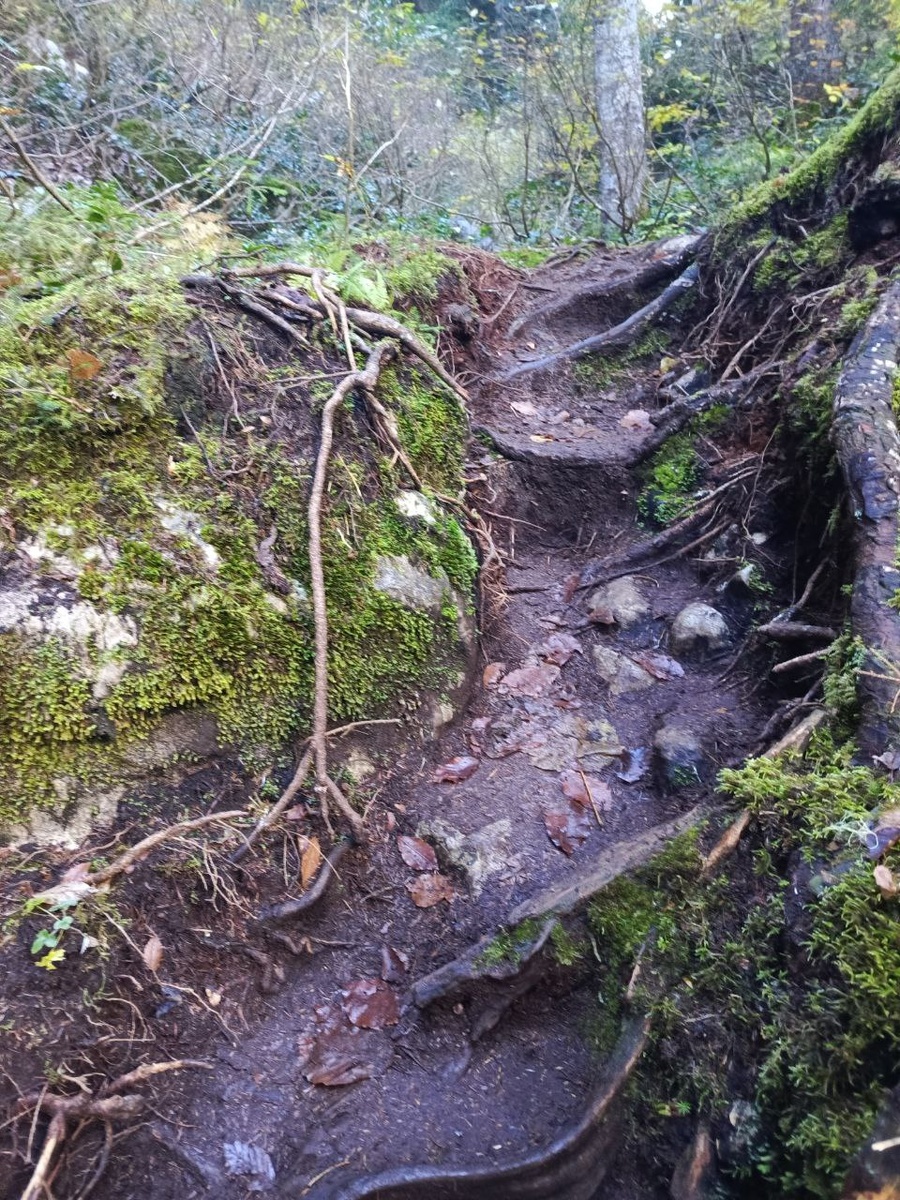 Трекинг на Малую Рицу. 2024. Это и другие фото в статье из личного архива Анжелики Стражковой. Обязательно разрешение на использование или активная ссылка на статью