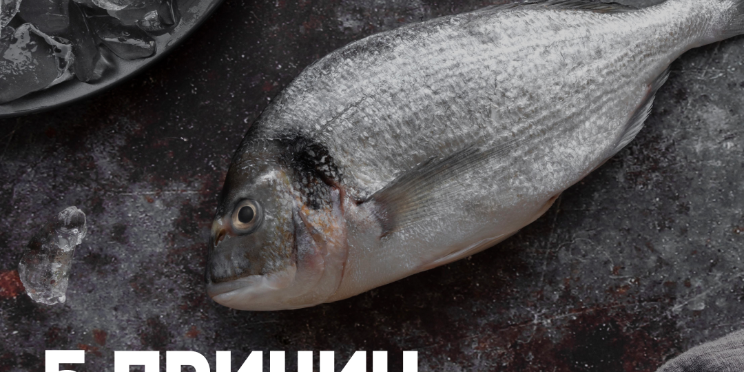 5 причин выбрать замороженную рыбу!