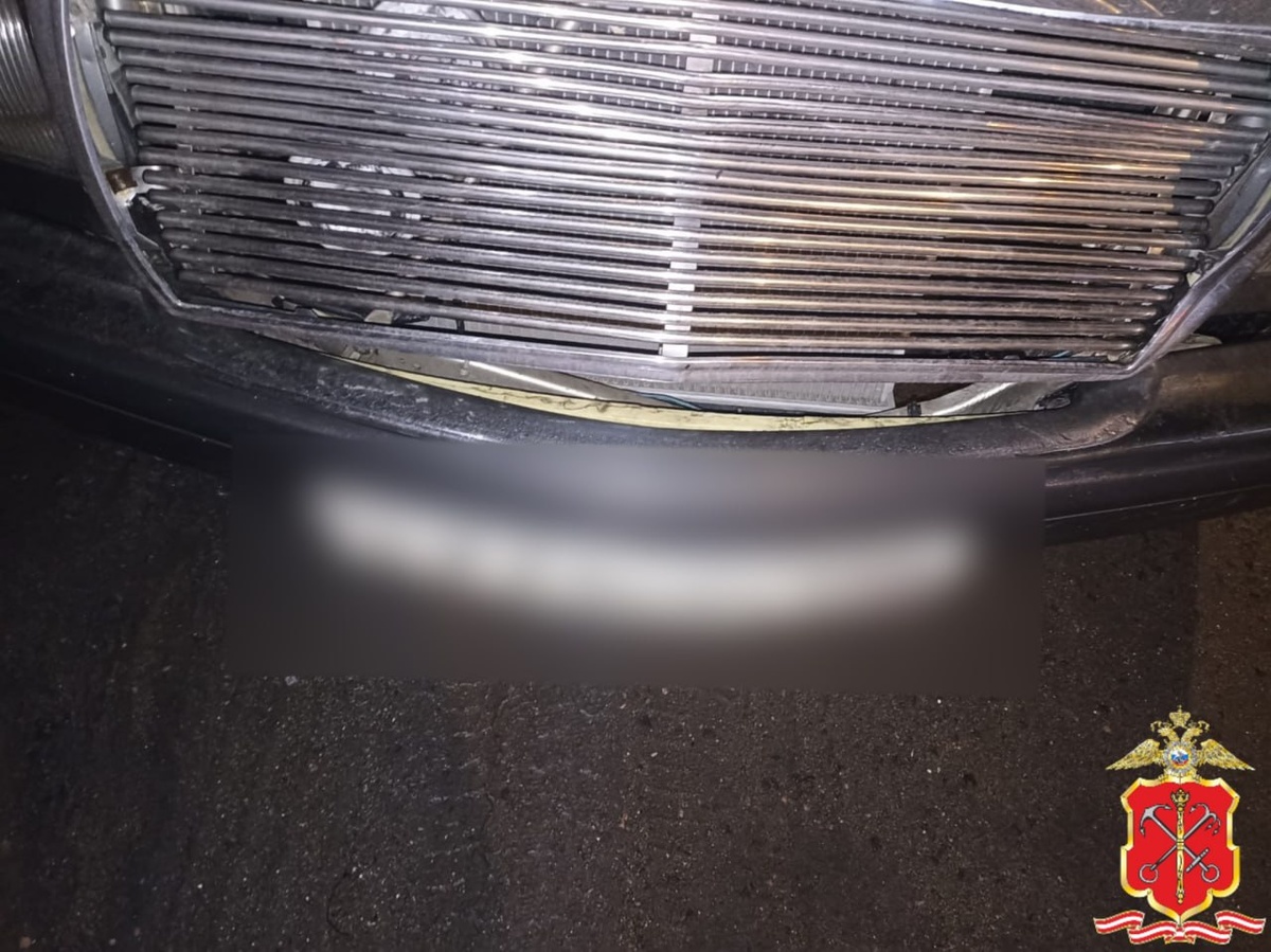 Фото: прессс-служба ГУ МВД России по Санкт-Петербургу и Ленинградской области 