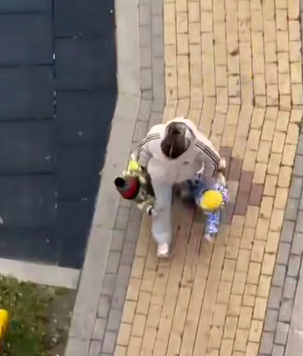 Фото: скрин видео.