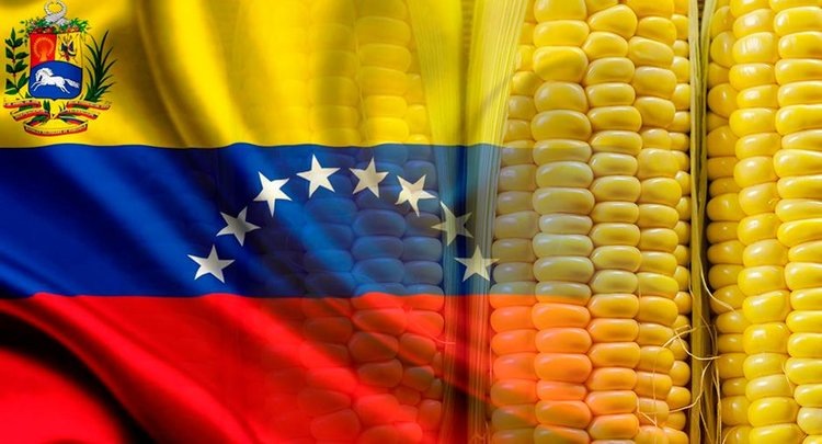    За год поставки российской пшеницы в Венесуэлу увеличились в 3 раза