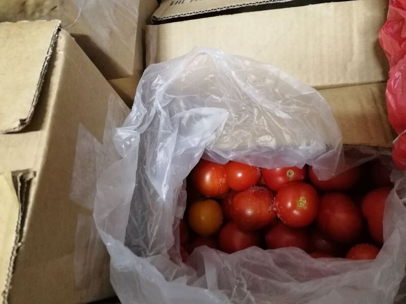 Свежих помидоров морожу много, в морозильном ларе, фото автора