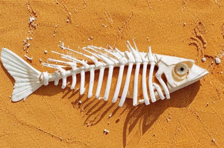    В Финляндии и Швеции находятся самые отвратительные почвы в мире