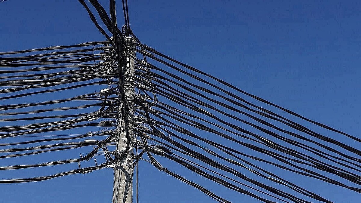    Фото: телеканал «Краснодар»