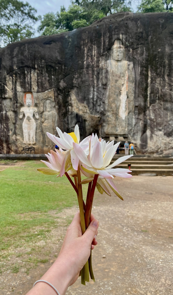 купили букет лотосов за 500 рупий. К Будде без подарков не ходят!