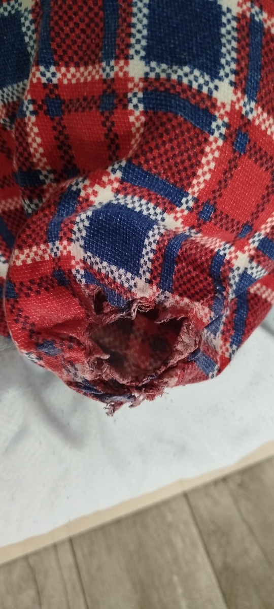 Наволочка испорчена. Мой грызун работает без перерыва на сон и обед