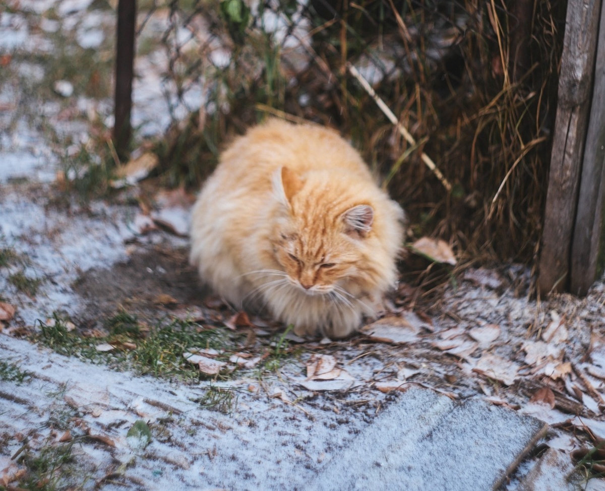 Фото: Ольга Дручек