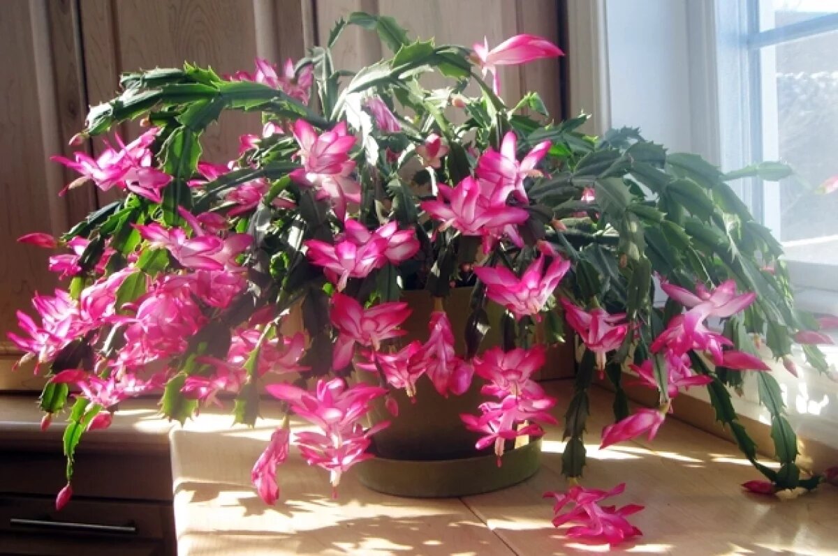    Есть нюанс.