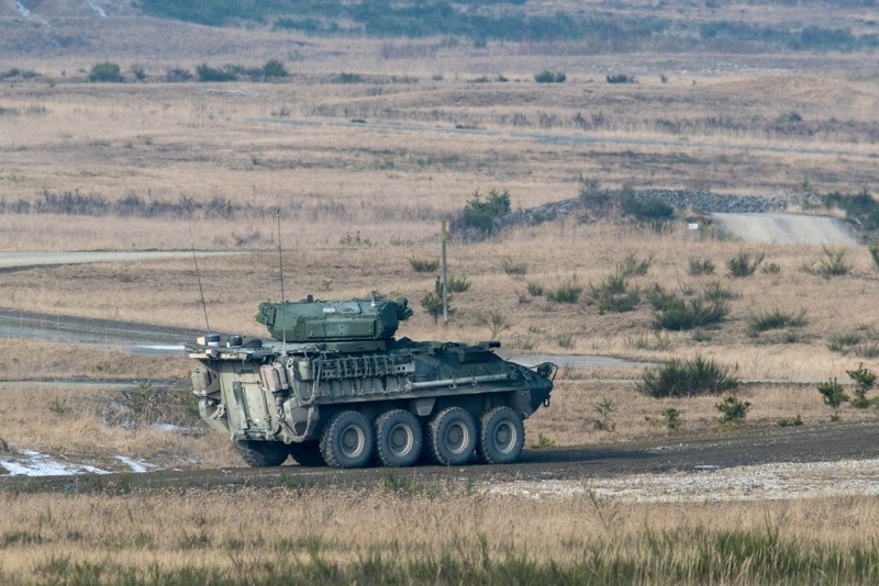    Фото: Armin Weigel/dpa/Globallookpress