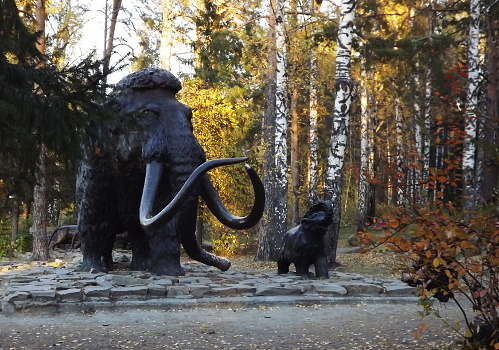 Фото автора