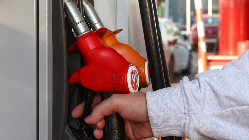    Фото: Shatokhina Natalia/news.ru