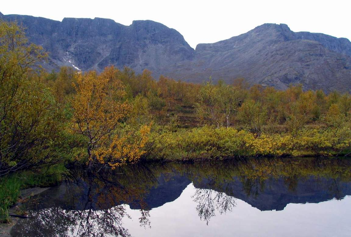 Фото: А. А. Евсеев