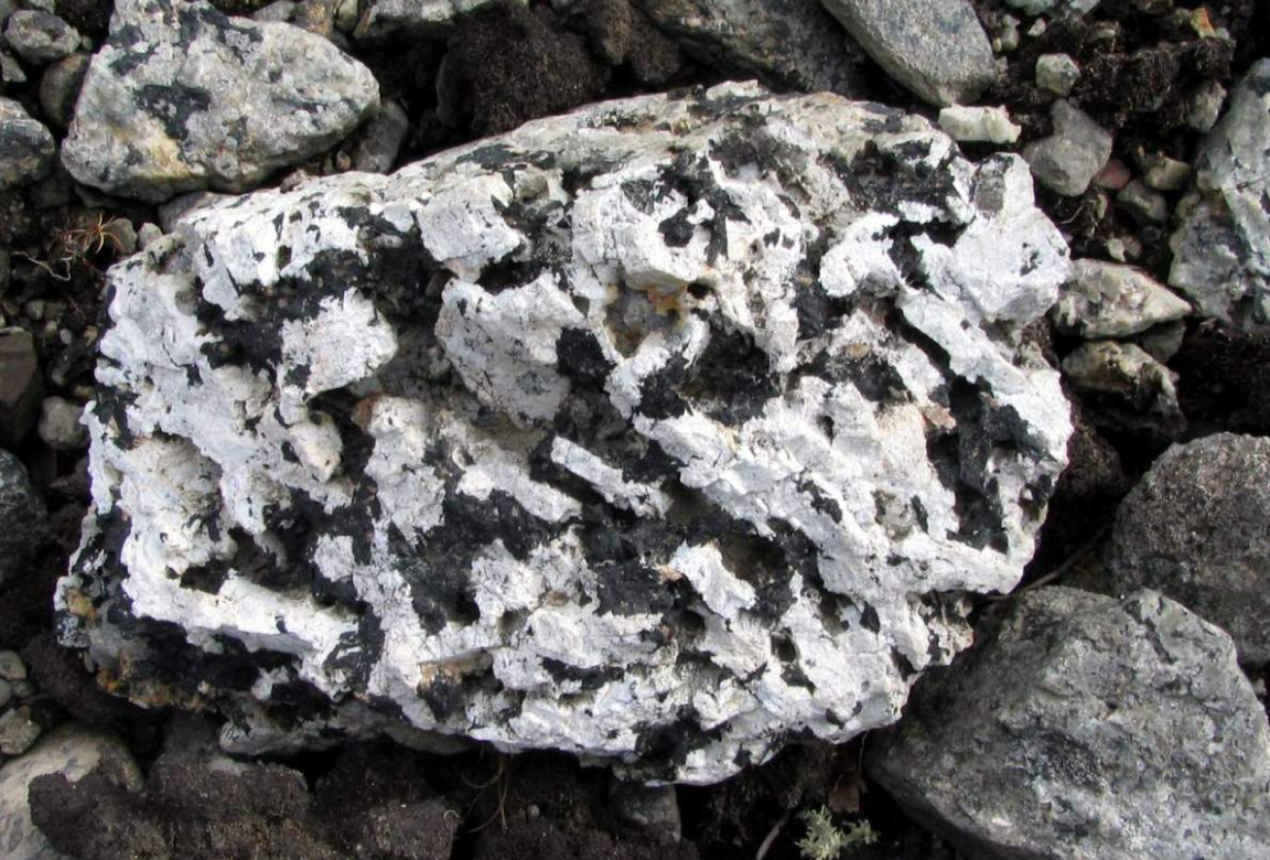 Фото: А. А. Евсеев