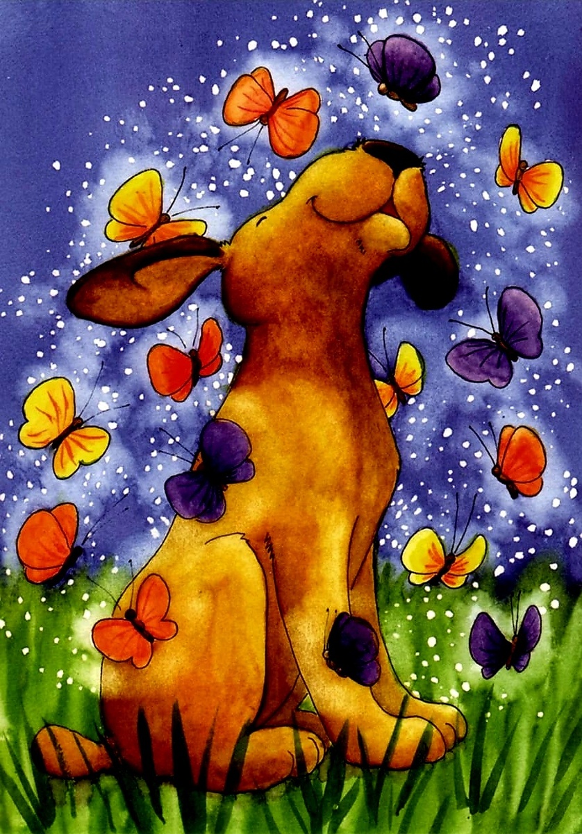 Фотографии из личного архива и открытого доступа 