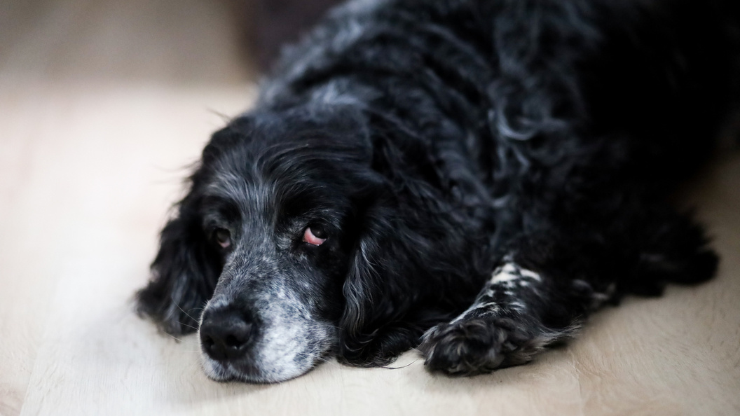    Elena Mayorova/Global Look Press