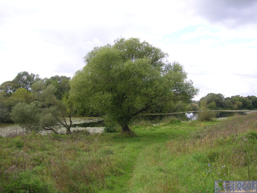 Озеро Горское