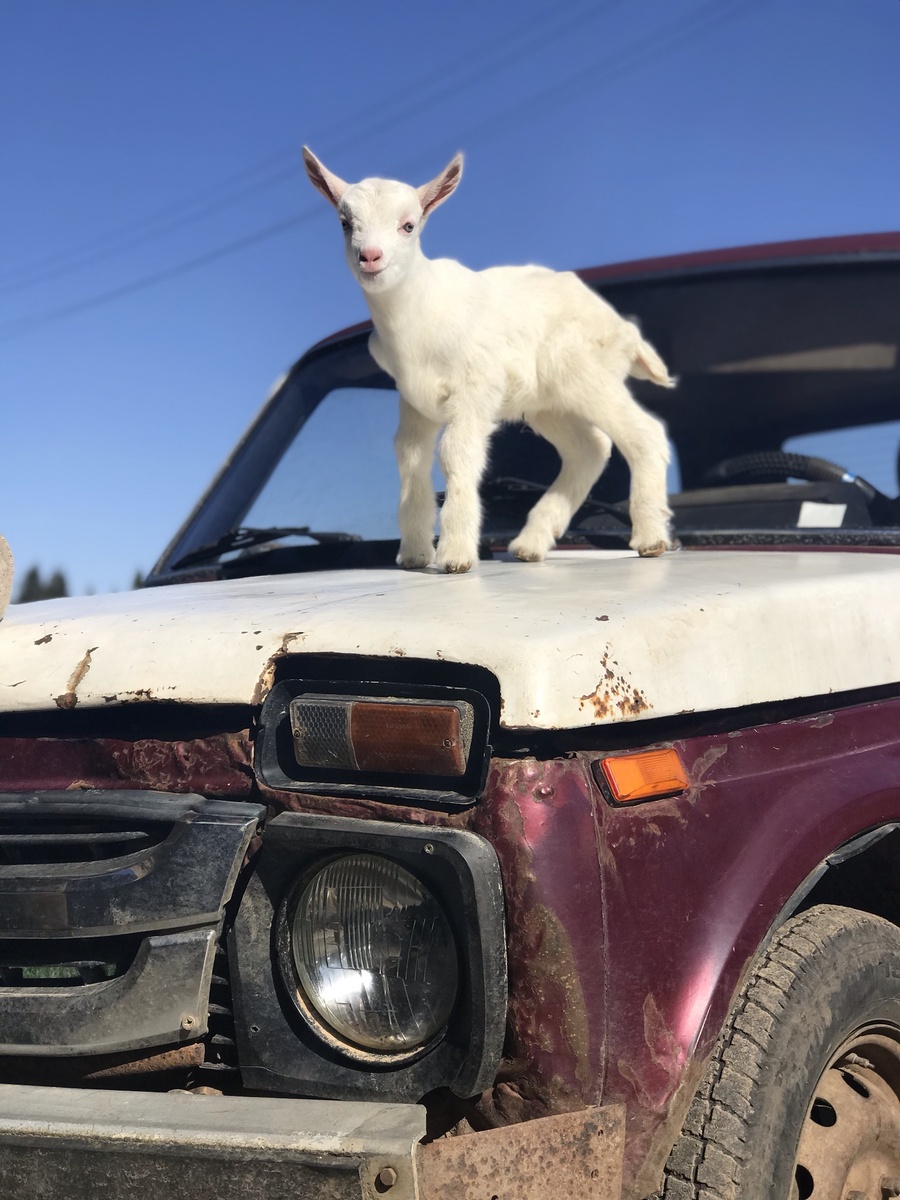 Фото автора 