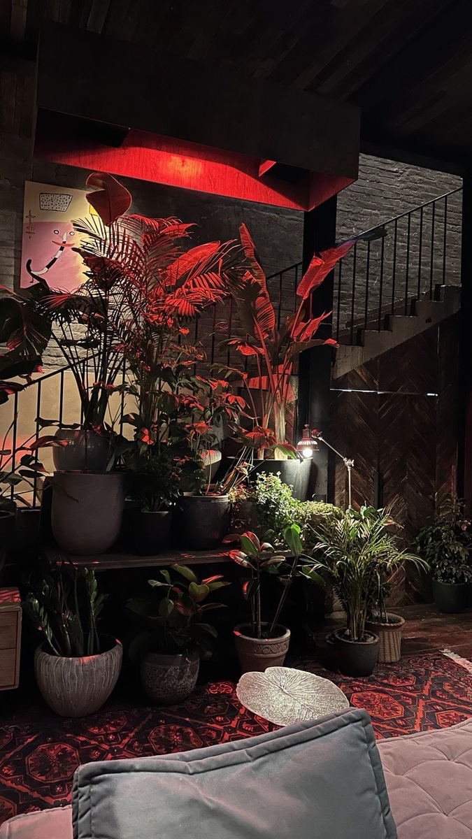 Blanc - место, которое спрятано на улицах Китай-города.