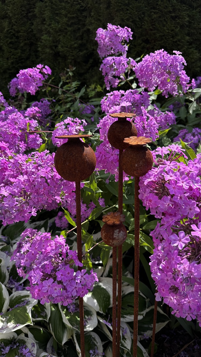 Летний цветник с фолоксами