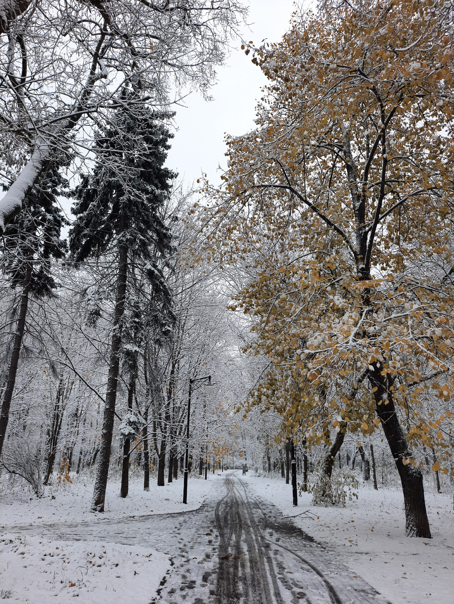 4 ноября стало уже вот так. 