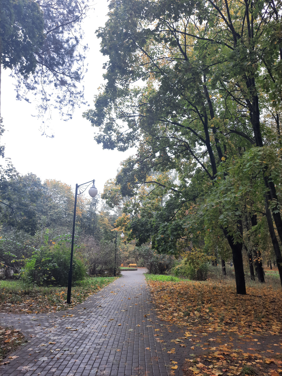 16 октября было вот так. Типичная осенняя погода. 