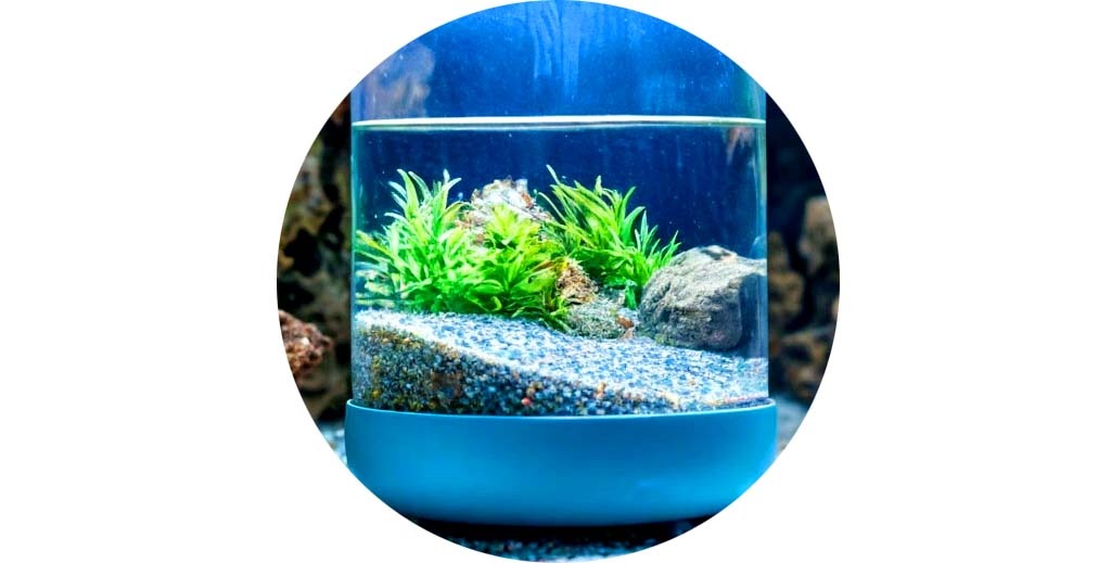 Лучший свет в аквариуме. Светодиодный светильник купить.