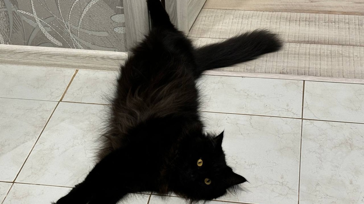 ИА SM-News Тюмень📷
