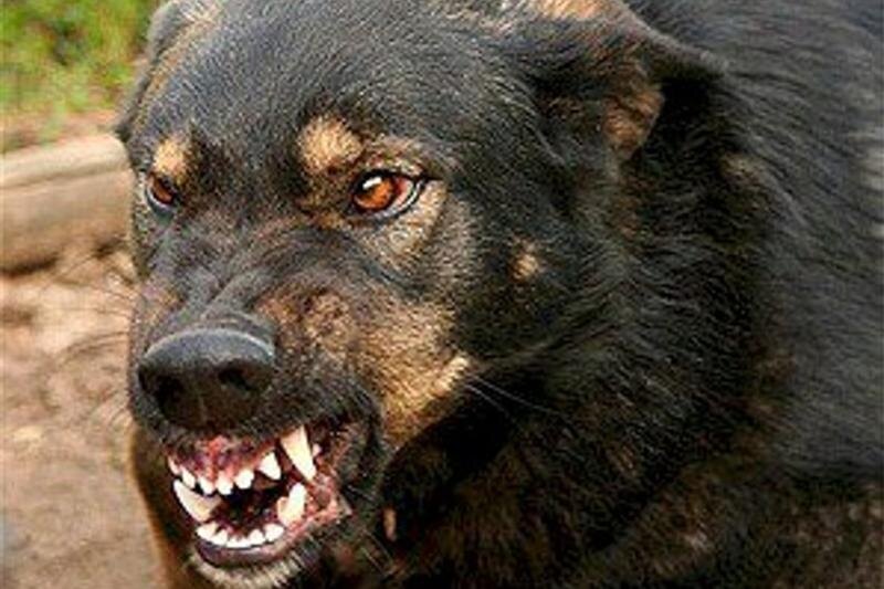    Pixabay.com / Прокуратура добилась выплаты компенсации пострадавшему ребенку