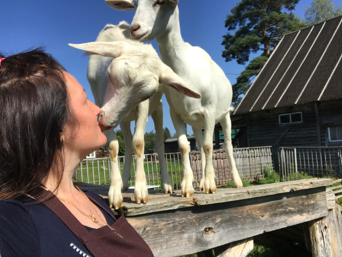 Фото автора