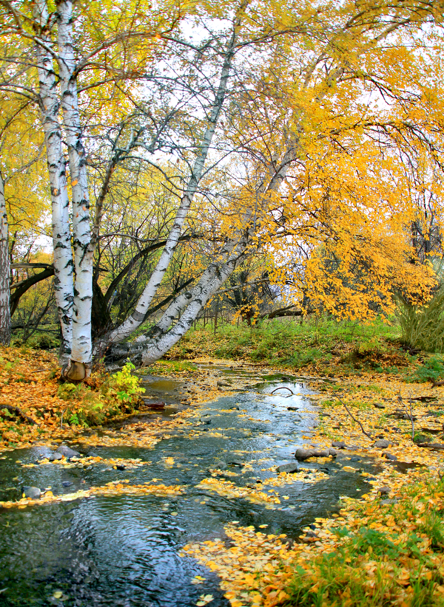 Фотография, стихотворение Василия Глуцкого