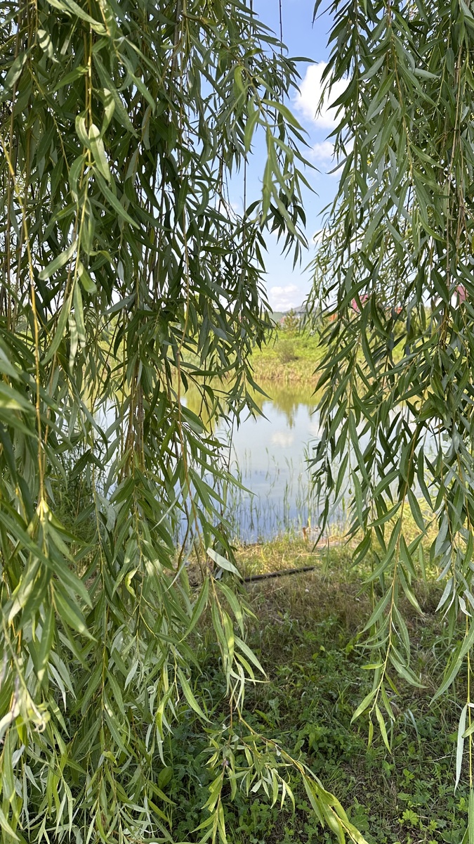 Водоем на территории частного владения