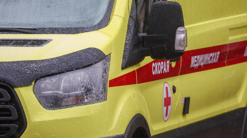    Фото: www.globallookpress.com/Shatokhina Natalia