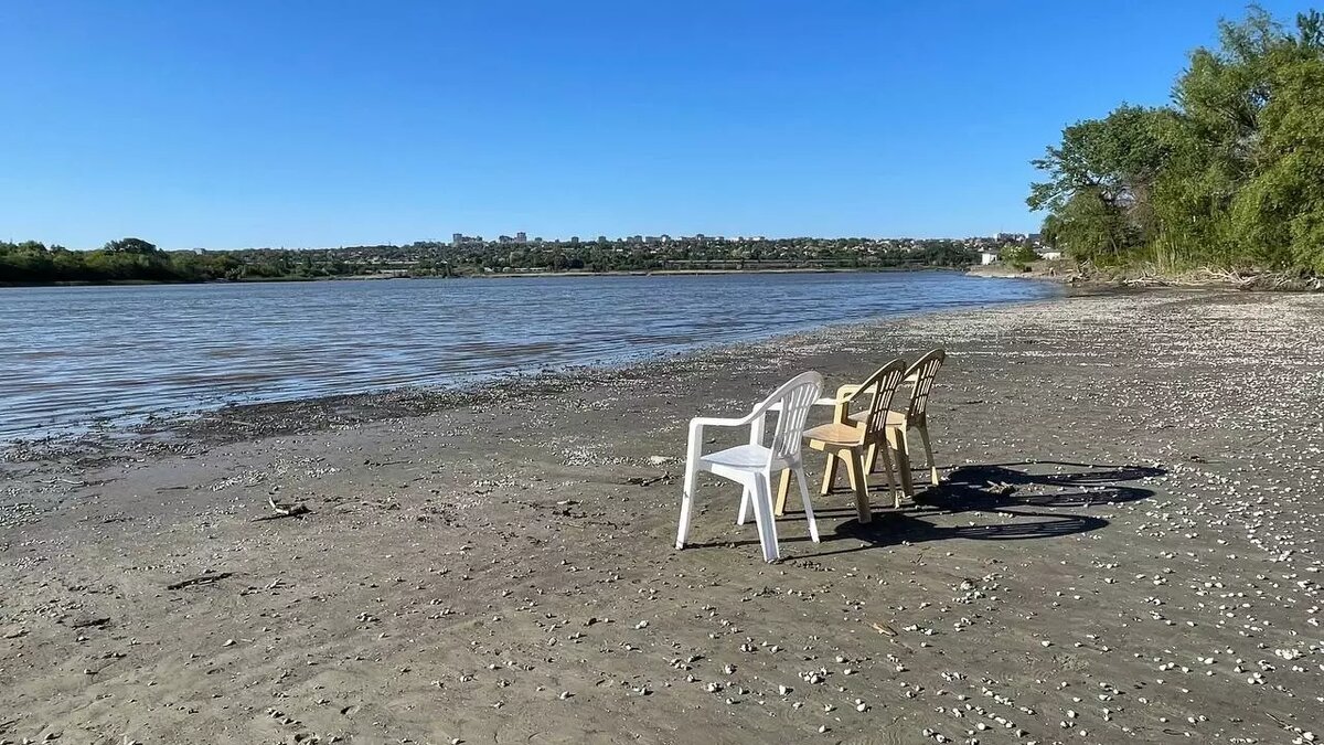     Источник: rostovgazeta.ru