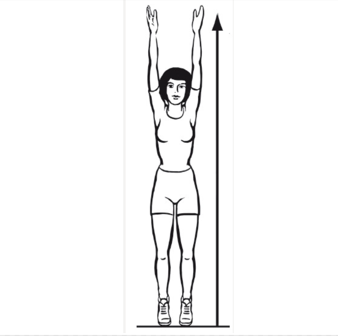 Упражнение дерево