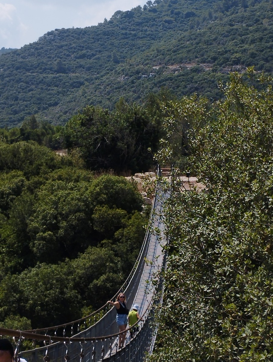 Подвесной мост в Нешере. Гора Кармель