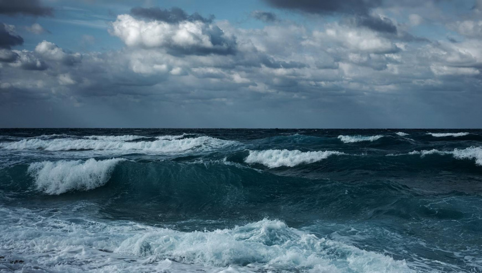 Фото: Marek Ledl, unsplash