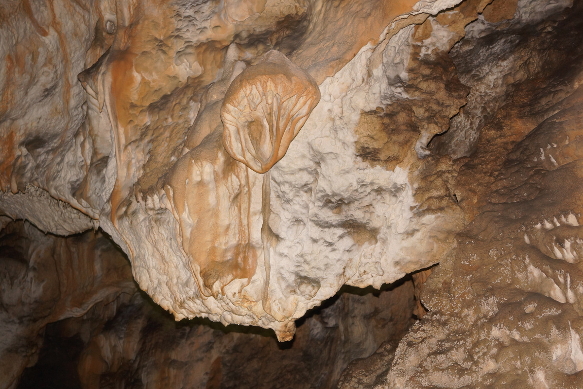 В пещере  Мамина, Караби