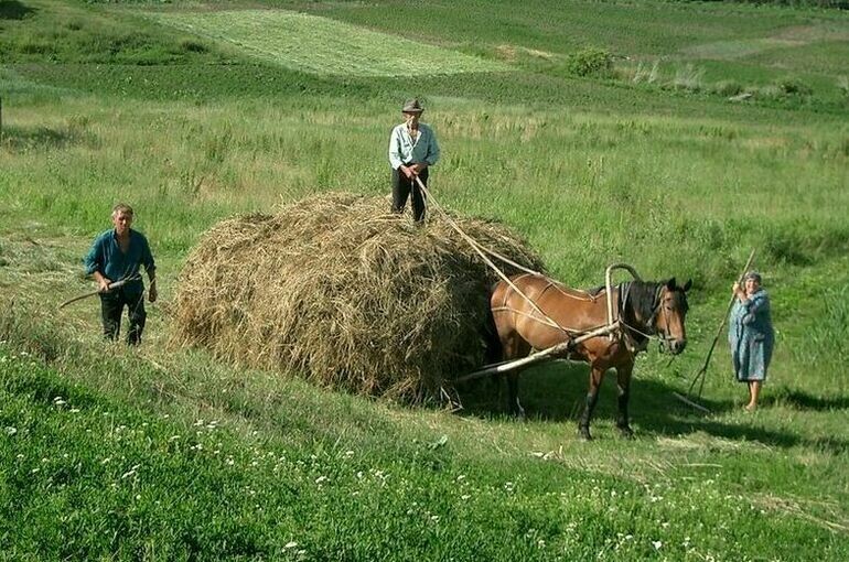   Игорь Самохвалов/ПГ