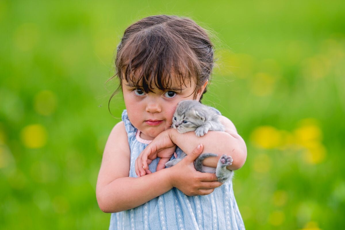 Ребенок с котенком 