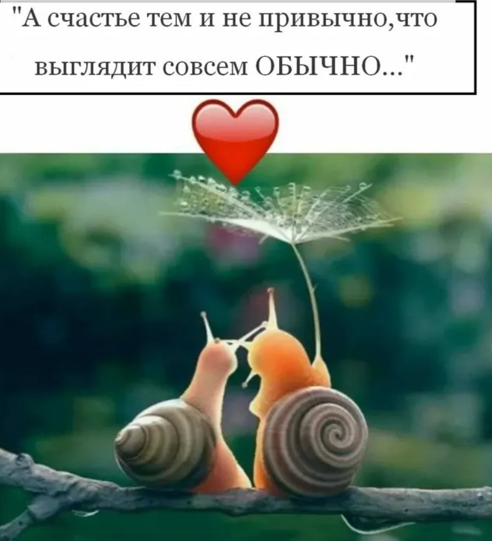 Яндекс