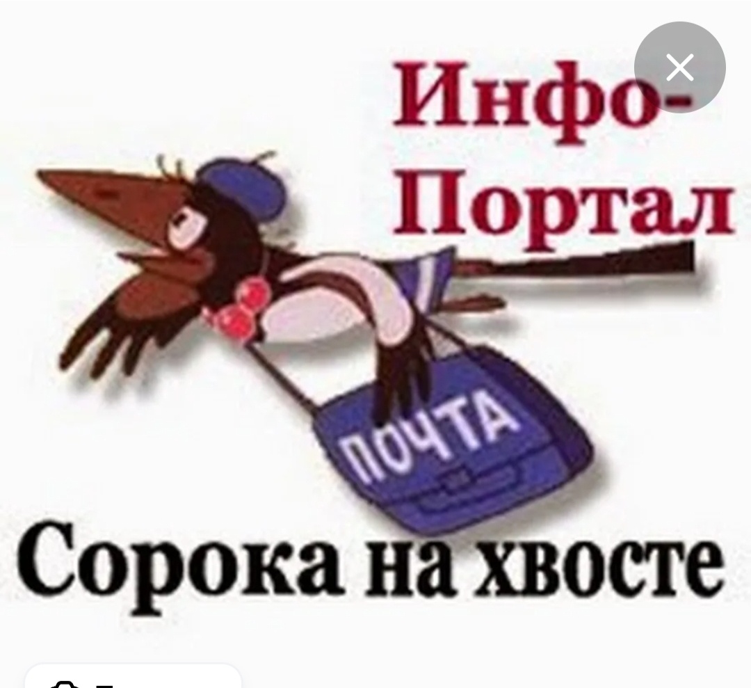 Сорока на хвосте принесла ютуб канал блоггер. Сорока на хвосте принесла. Сорока новости на хвосте принесла. Сорока новости. Хвост сороки.