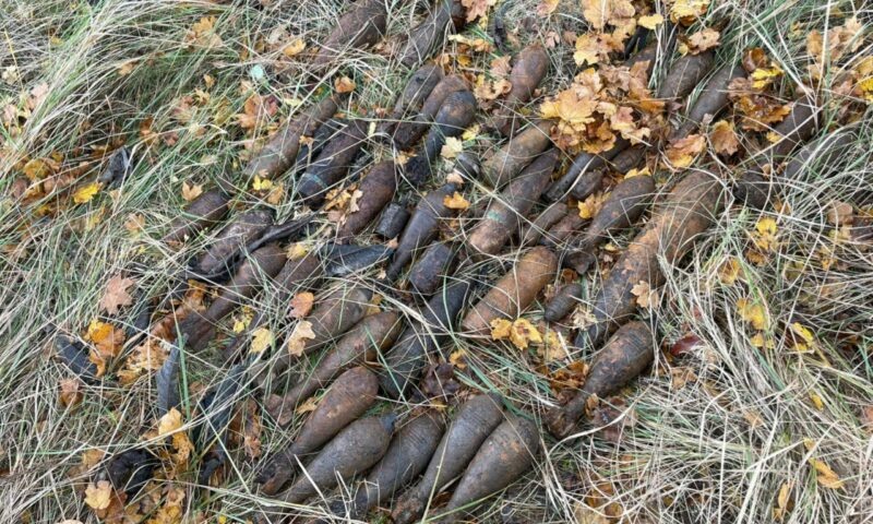    Фото t.me/rosgvard_krasnodar