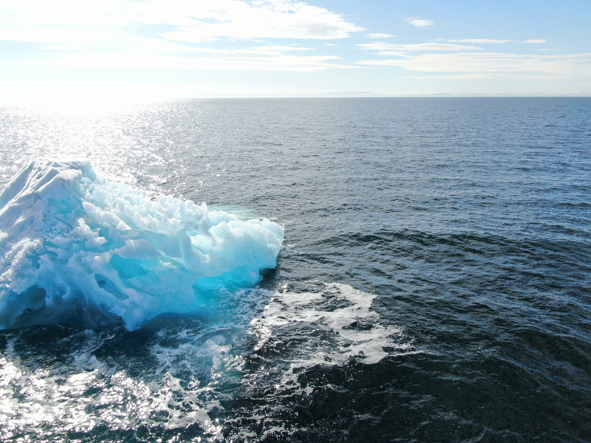 Фото сделано специалистами компании Визард