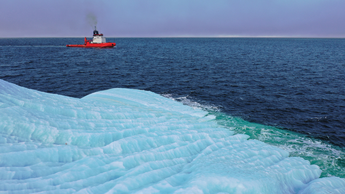 Фото сделано специалистами компании Визард
