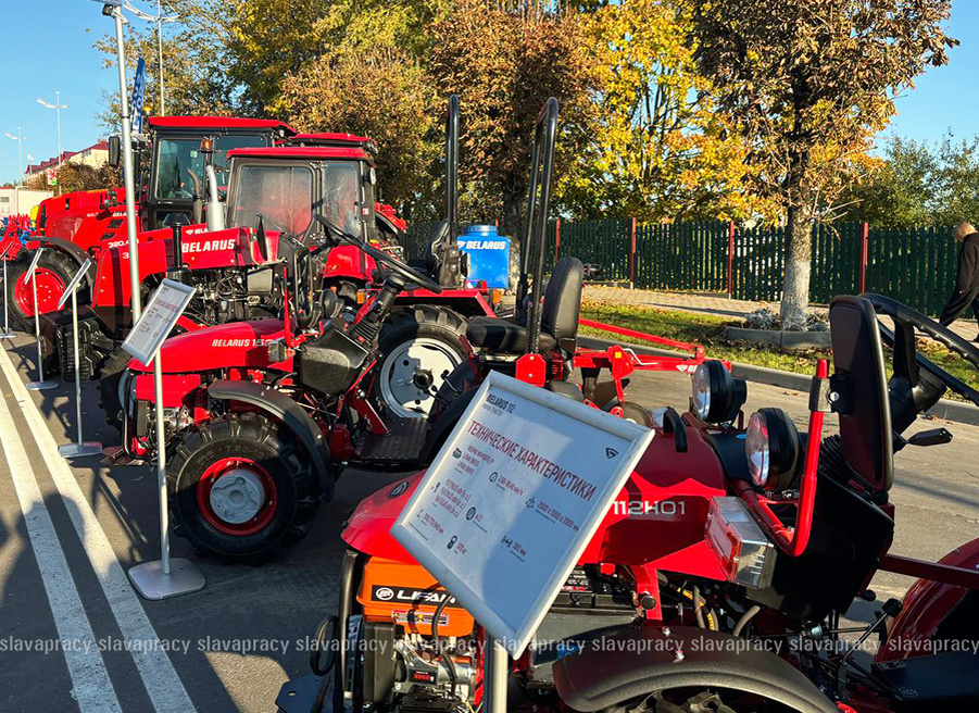     BELARUSы – в странах зарубежья