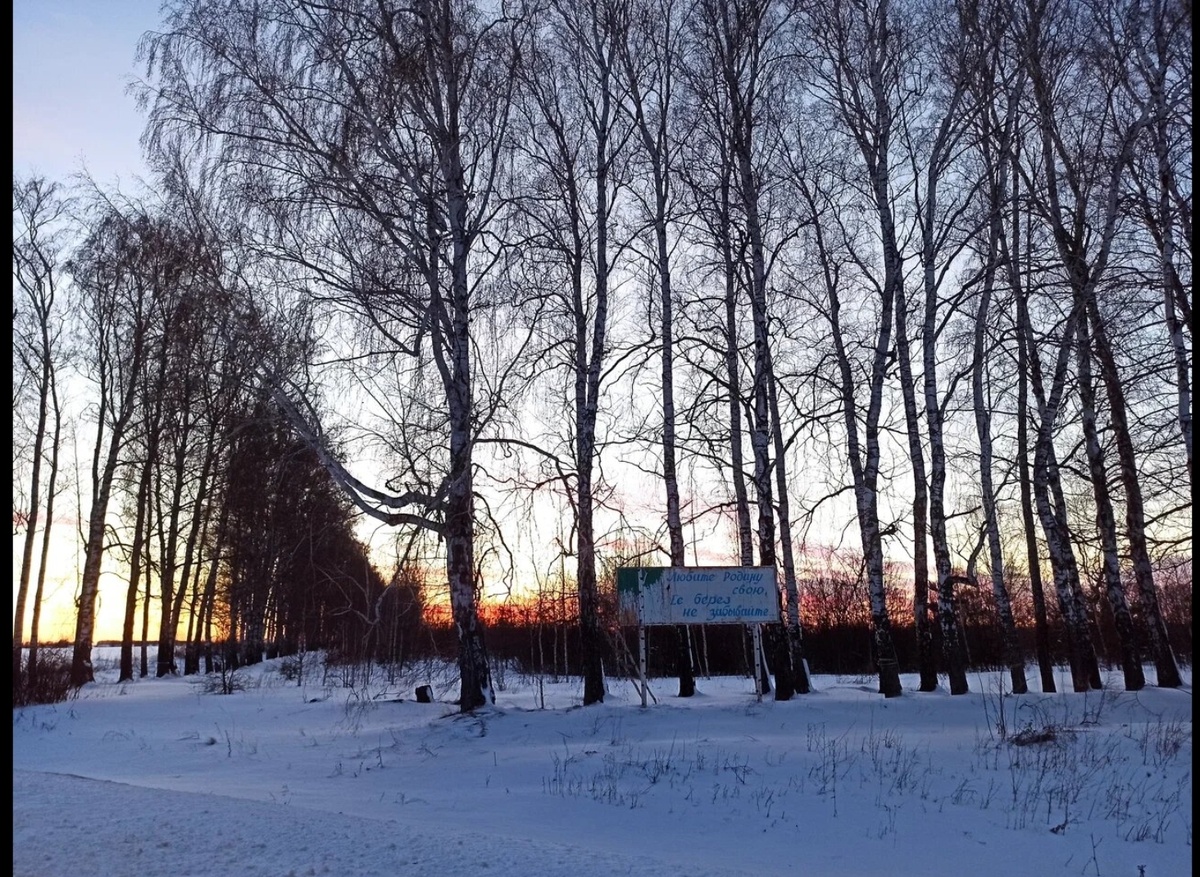 Молодой сад. Фото из моего архива