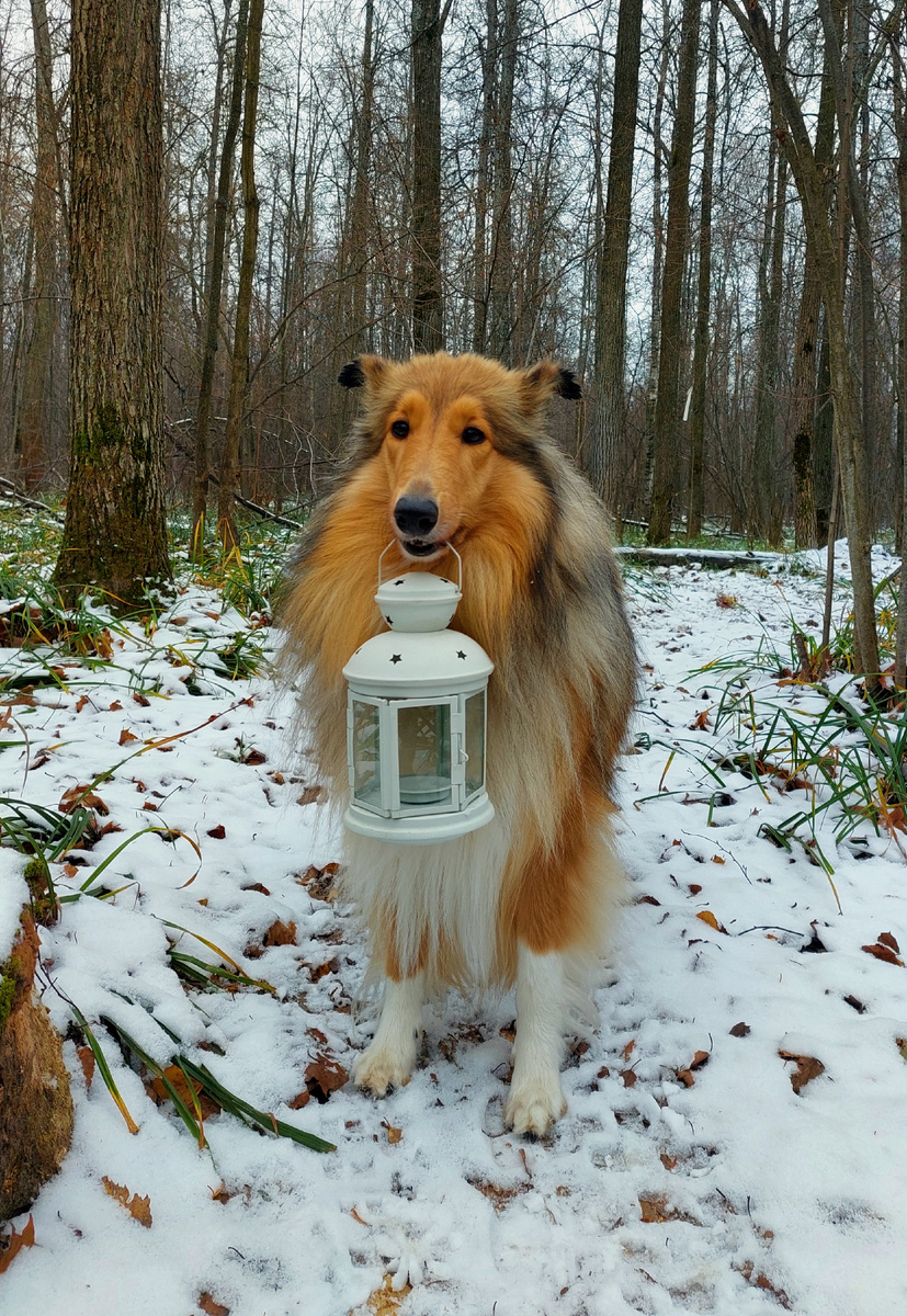 Что она думает обо мне, написано на лице😁