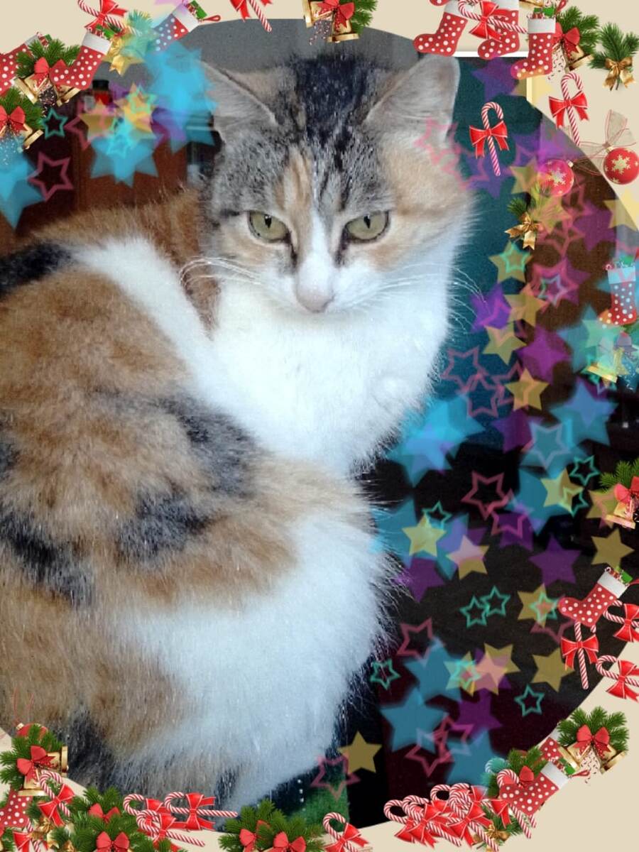 Фото автора. 