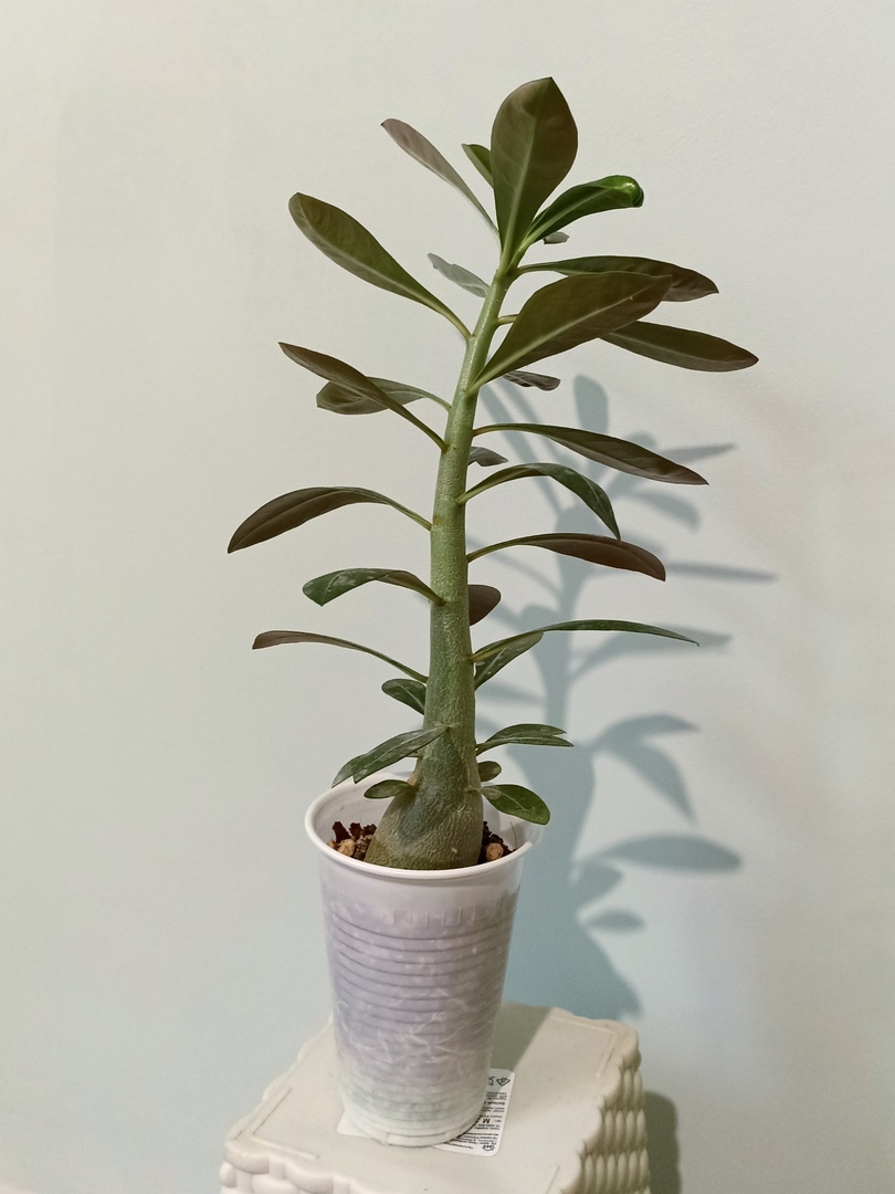 Реальность